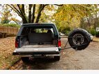 Thumbnail Photo 6 for 1994 Ford Bronco XLT